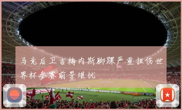 马竞后卫吉梅内斯脚踝严重扭伤世界杯参赛前景堪忧