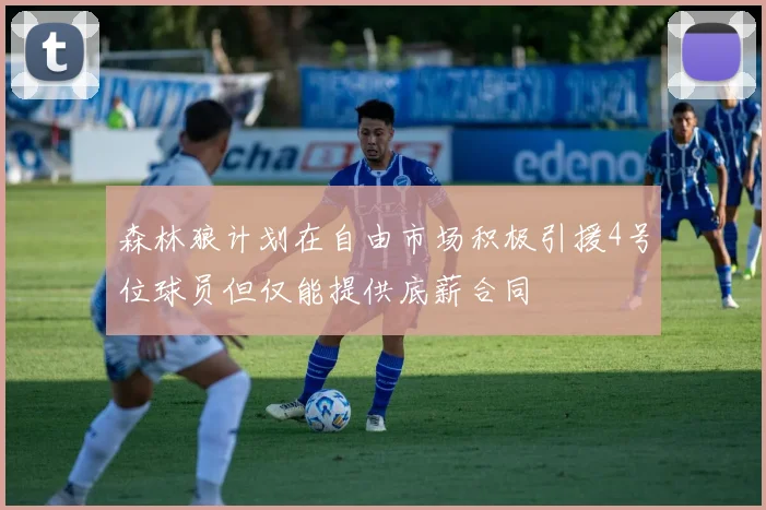 森林狼计划在自由市场积极引援4号位球员但仅能提供底薪合同